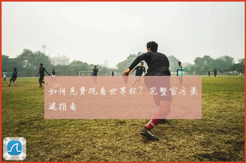 如何免费观看世界杯？完整官方渠道指南
