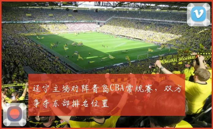 辽宁主场对阵青岛CBA常规赛，双方争夺东部排名位置