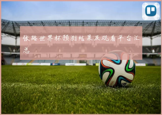 张路世界杯预测结果及观看平台汇总