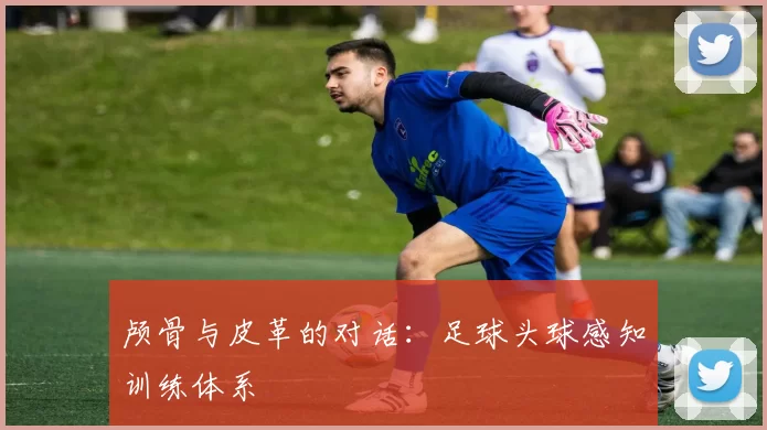 颅骨与皮革的对话：足球头球感知训练体系