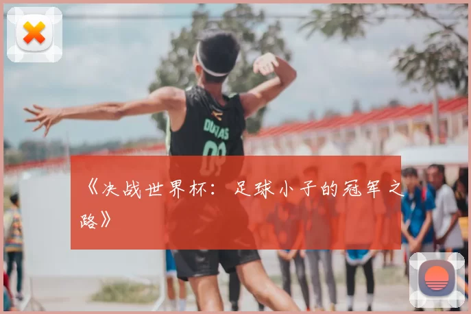 《决战世界杯:足球小子的冠军之路》