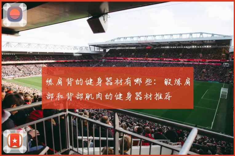 练肩背的健身器材有哪些：锻炼肩部和背部肌肉的健身器材推荐