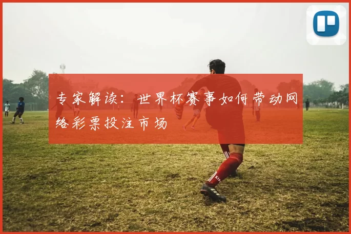 专家解读：世界杯赛事如何带动网络彩票投注市场