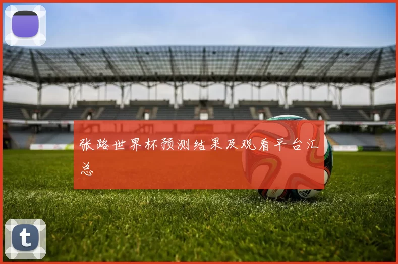 张路世界杯预测结果及观看平台汇总