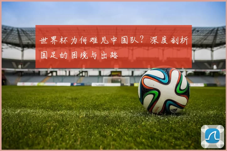 世界杯为何难见中国队？深度剖析国足的困境与出路