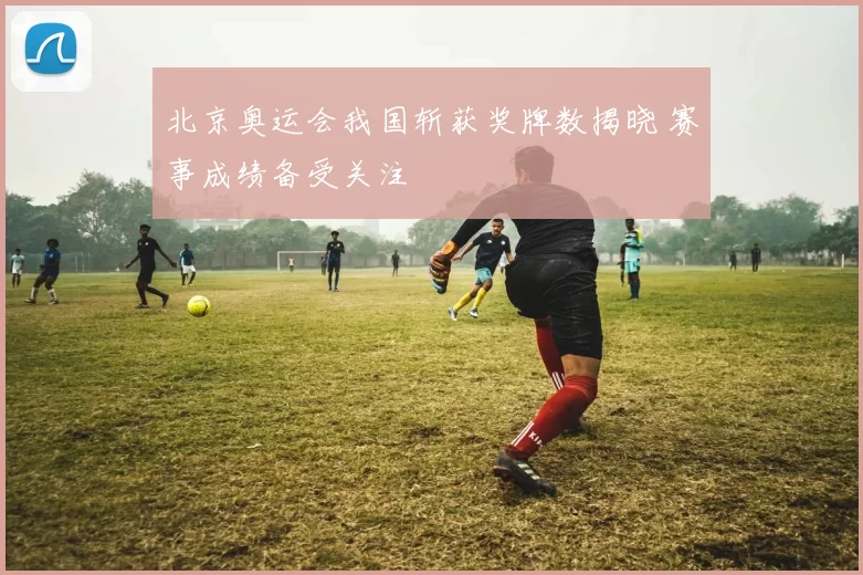 北京奥运会我国斩获奖牌数揭晓 赛事成绩备受关注