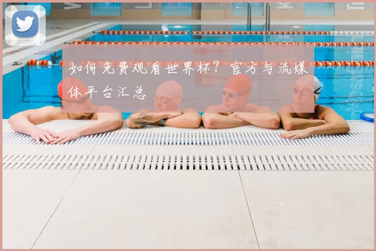 如何免费观看世界杯?官方与流媒体平台汇总