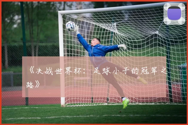《决战世界杯：足球小子的冠军之路》