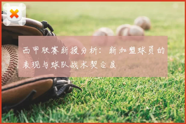 西甲联赛新援分析：新加盟球员的表现与球队战术契合度