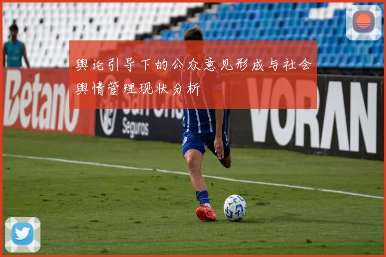 舆论引导下的公众意见形成与社会舆情管理现状分析