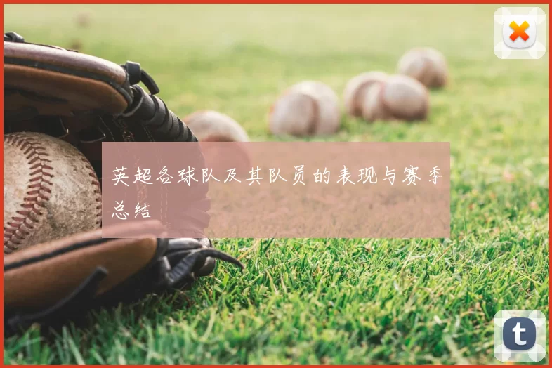 英超各球队及其队员的表现与赛季总结